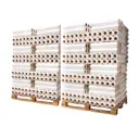 Film étirable transparent manuel 20µ-250M-bobine 2,0KG-720 bobines